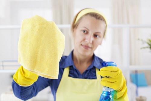 Carpet cleaning equipment used for homes and offices in Greenwich