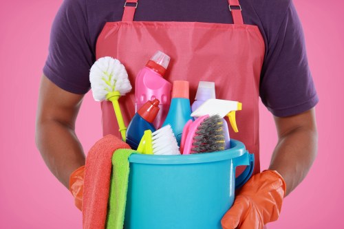 Deep carpet cleaning in a Greenwich apartment or flat