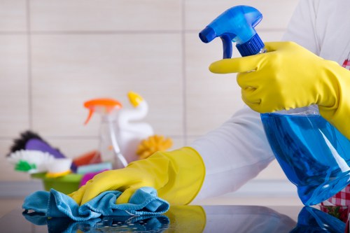 PCI compliant Deep Cleaning Greenwich billing and checkout interface