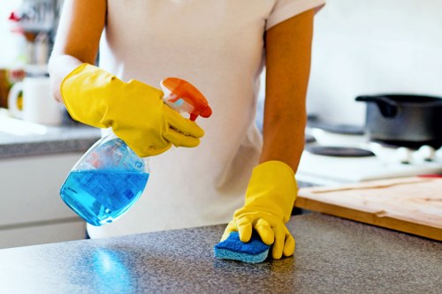 Vacuuming and dusting in a family home in Greenwich