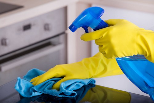 Professional oven cleaning service for Greenwich homes