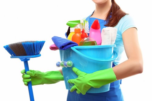 One-off deep cleaning and domestic cleaning in Greenwich