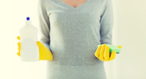 Thorough oven cleaning process for a Greenwich property