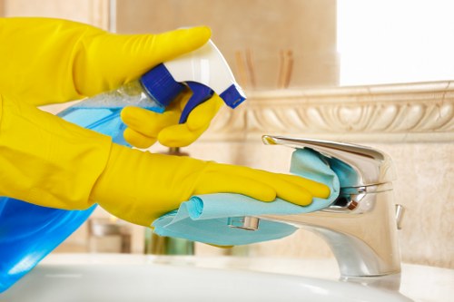 Professional window cleaning in Greenwich for homes and businesses