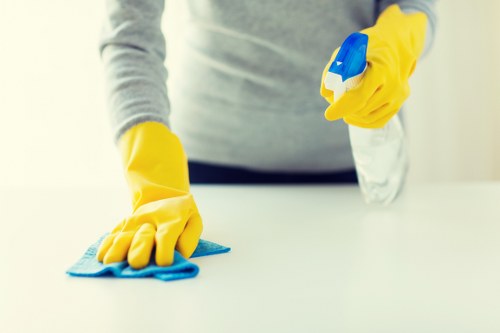 Safety checks before a deep clean in a Greenwich property