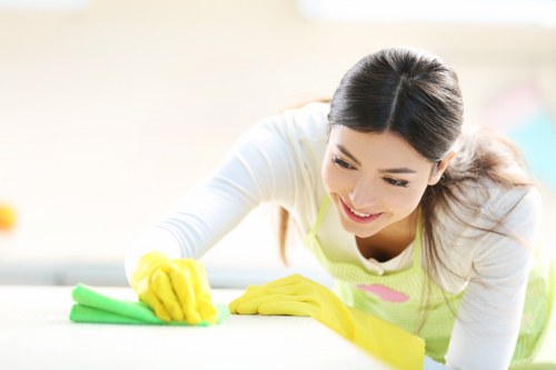 Professional oven cleaning service for a home kitchen in Greenwich