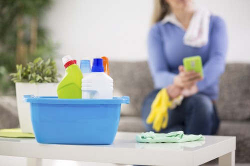 Domestic cleaning tasks in a Greenwich property