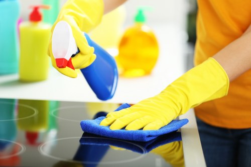 Cleaners working in a Greenwich home with local property access considerations