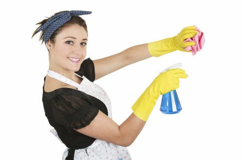 Streak-free window cleaning for Greenwich homes, shops, and offices