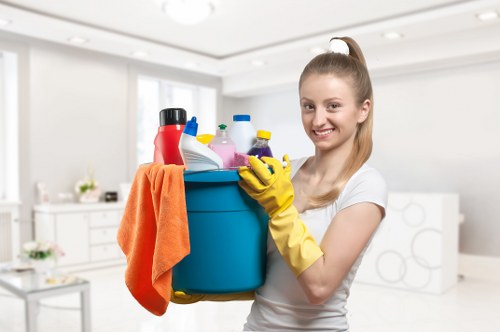 Professional deep cleaning support for homes and offices in Greenwich