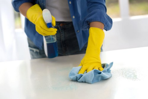 Local oven cleaning work in a Greenwich apartment kitchen