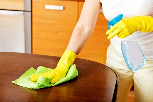 Professional cleaners working in a Greenwich apartment and shared property
